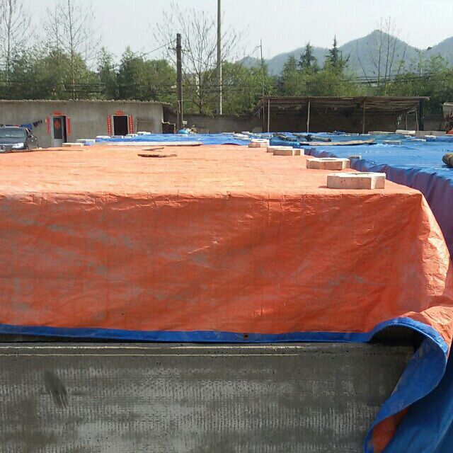 �L(zh��ng)���p�|(zh��)�􉦰�